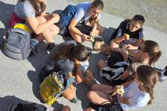 shared-image-2026-06-15T211200.704
