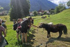 shared-image-2026-06-15T211242.537