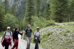 Image-37