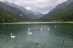 shared-image-2026-06-16T190159.328