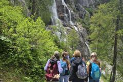 shared-image-2026-06-16T190219.105