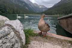 shared-image-2026-06-16T190425.814