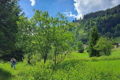 shared-image-2026-06-14T175906.632