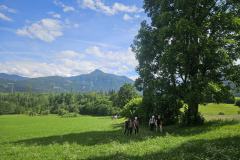 shared-image-2026-06-14T195754.391