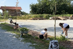 Image-33