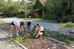Image-35