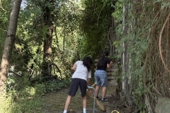 Image-39