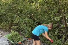 Image-43