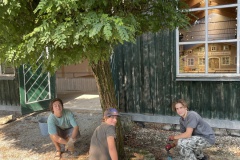Image-45