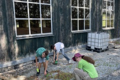 Image-46