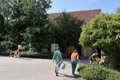 Image-50