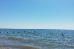 Bild4