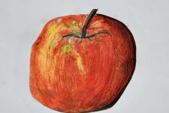 Apfelstudie-Aaron-Damb-10b
