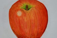 Apfelstudie-Ben-Kokalla-10b