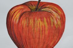 Apfelstudie-Carlotta-Ragaller-10b