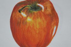 Apfelstudie-Elena-Paul-10b