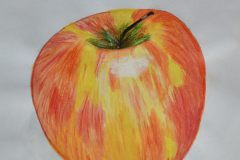 Apfelstudie-Isabell-Riel-10a