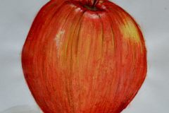 Apfelstudie-Judith-Kuehnmeier