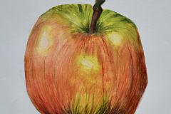 Apfelstudie-Luisa-Stefenelli-10b