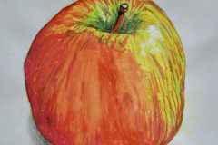 Apfelstudie-Lukas-Fedtke-10a