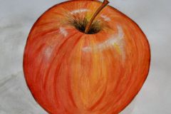 Apfelstudie-Mathilda-Merckenschlager-10a