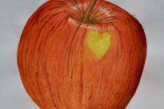 Apfelstudie-Tracy-Linkamp10