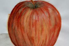 Apfelstudie-Venus-Simmet-10