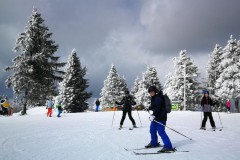 Bild11