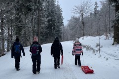 Bild15