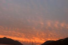 1_shared-image-64