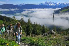 IMG_20220531_095914_resized_20220531_050657810