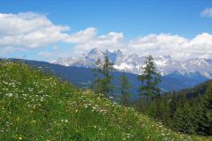 IMG_20220531_153550_resized_20220531_045927807