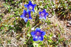 IMG_20220531_153658_resized_20220531_045928064