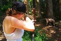 IMG_20230621_105454_resized_20230621_053010222