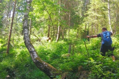 IMG_20230621_114223_resized_20230621_053009385