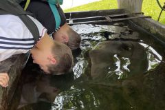 MicrosoftTeams-image-54