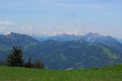 IMG_20230620_110844_resized_20230620_073526339