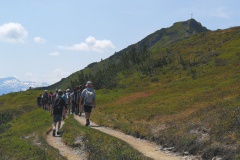 IMG_20230620_112209_resized_20230620_073706223