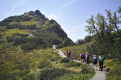 IMG_20230620_112934_resized_20230620_073703907