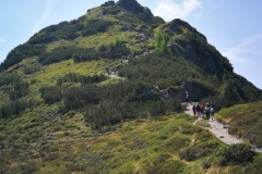 IMG_20230620_113000_resized_20230620_073705366