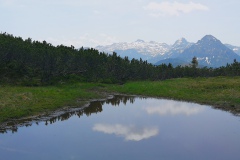 IMG_20230620_192755_resized_20230620_073705812