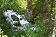 IMG_20230622_103957_resized_20230622_065635265