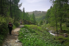 IMG_20230622_130726_resized_20230622_065707719