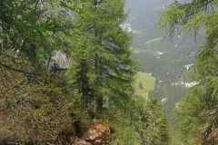 IMG_20230622_133904_resized_20230622_065748397