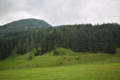 IMG_20230619_101522_resized_20230619_051014194