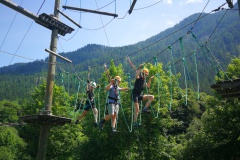 IMG_20230619_114647_resized_20230619_051013655