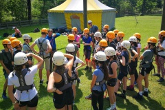 IMG_20230619_114703_resized_20230619_051014452