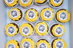 b-IMG_20230317_165500_resized_20230324_095116010