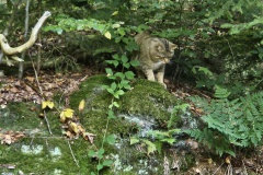 20230928_113342_resized