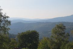 IMG_0009